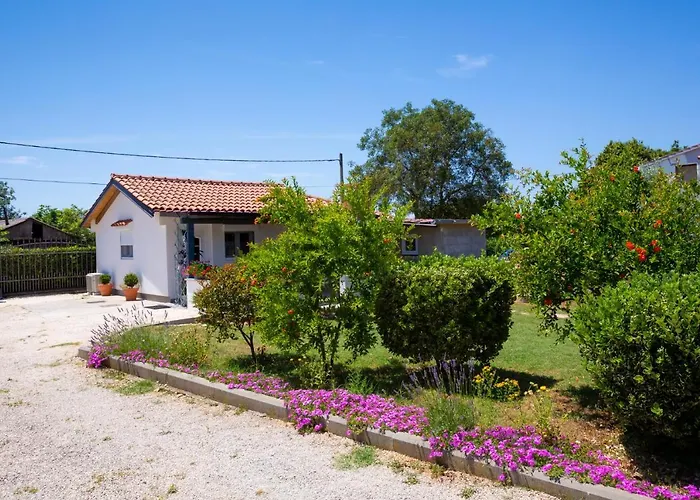 Ankica Sikici Holiday home Pula